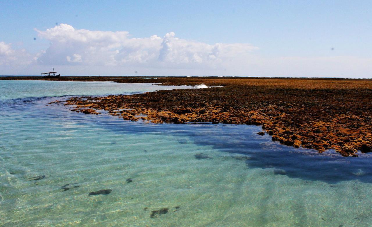 Pousada Casanossa Boipeba Island 외부 사진