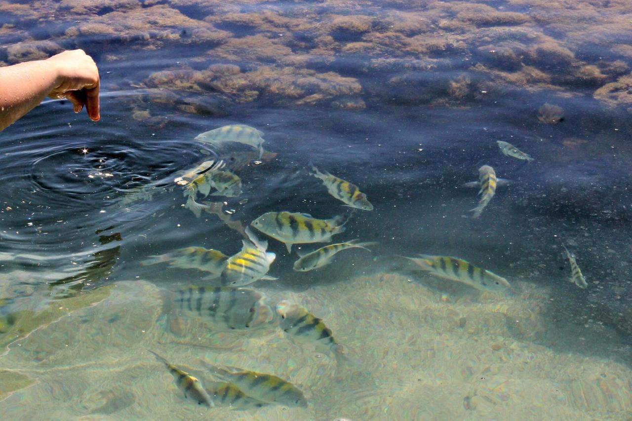 Pousada Casanossa Boipeba Island 외부 사진